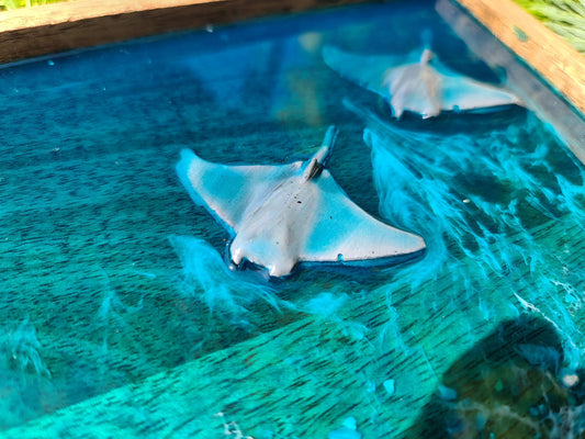 3D Manta Ray