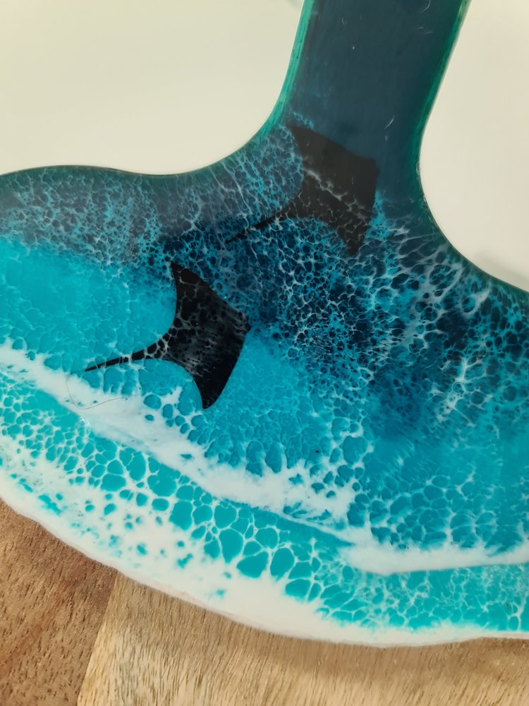 Manta Ray vinyl